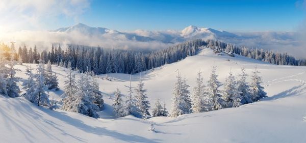 Depositphotos_37119755_S 2